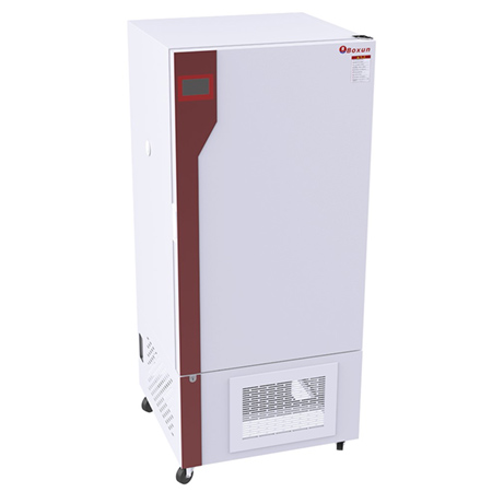 BXY-250藥品穩(wěn)定性試驗箱